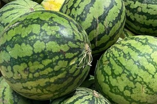 Sommer 2025 – Wassermelonen-Genuss 🍉