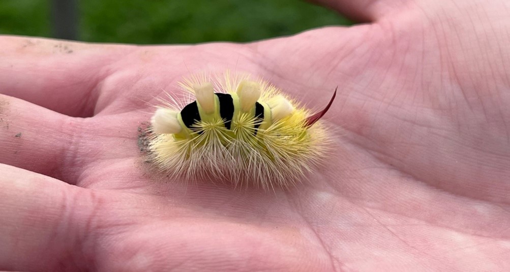 September 2025 – Kleine Entdecker auf Spaziergang 🐛